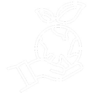 Icono Sustainable Impact