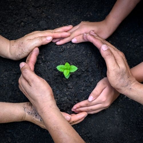 Medio Ambiente